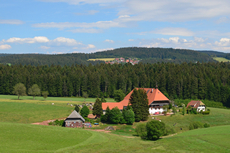 Fallerhof