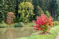 Hofstetten